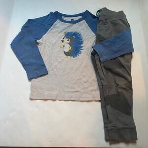 Tea Collection Hedgehog Long Sleeve Shirt Pants Outfit